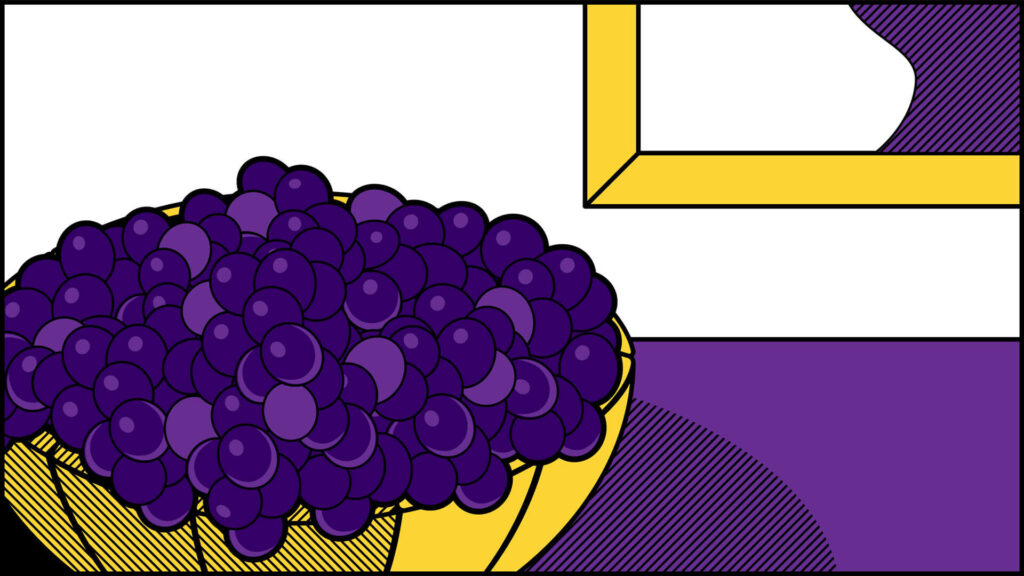 Illustrazione uva pop art