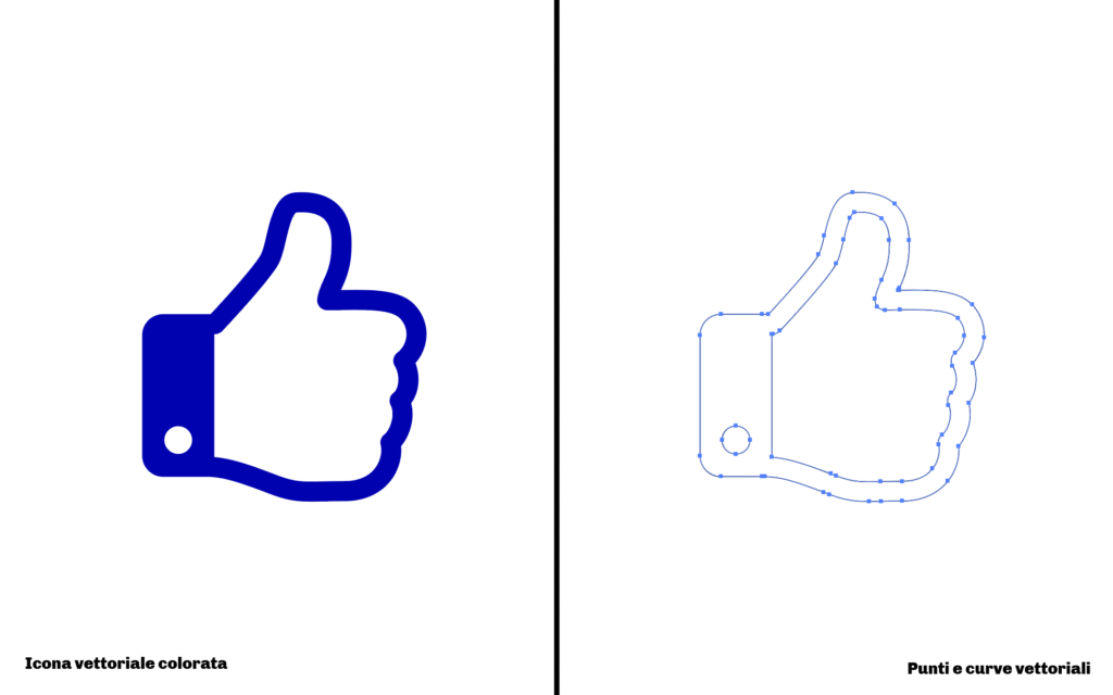 Immagine vettoriale affiancata alle curve geometriche che la descrivono