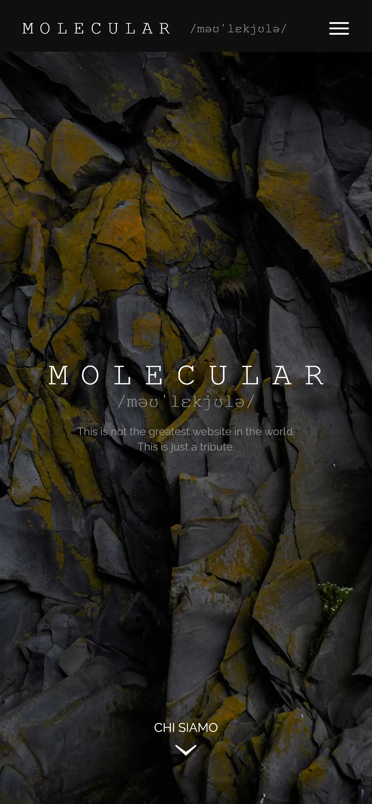 Home page sito web versione mobile